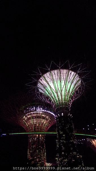 新加坡 │「濱海灣花園」夜晚城市中最美的超級樹叢