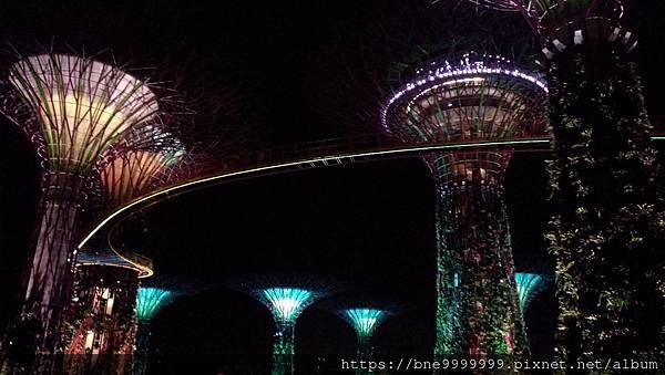 新加坡 │「濱海灣花園」夜晚城市中最美的超級樹叢