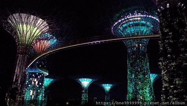 新加坡 │「濱海灣花園」夜晚城市中最美的超級樹叢