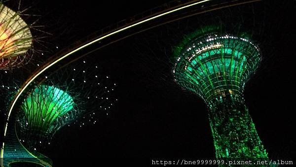 新加坡 │「濱海灣花園」夜晚城市中最美的超級樹叢