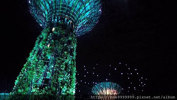 新加坡 │「濱海灣花園」夜晚城市中最美的超級樹叢