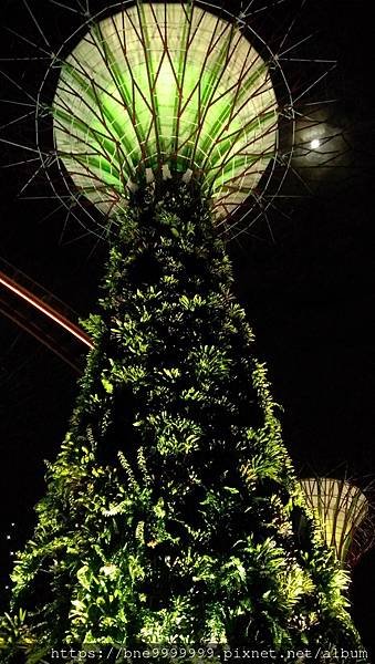 新加坡 │「濱海灣花園」夜晚城市中最美的超級樹叢