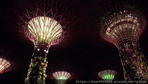 新加坡 │「濱海灣花園」夜晚城市中最美的超級樹叢