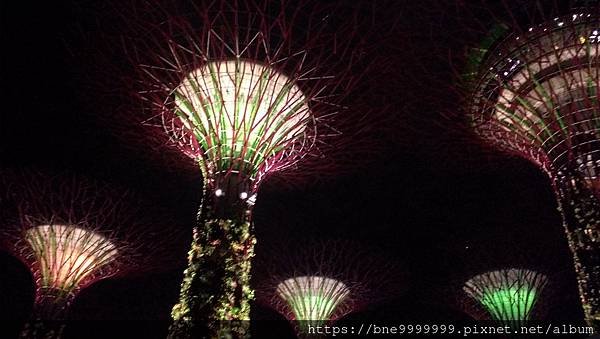 新加坡 │「濱海灣花園」夜晚城市中最美的超級樹叢