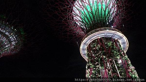 新加坡 │「濱海灣花園」夜晚城市中最美的超級樹叢