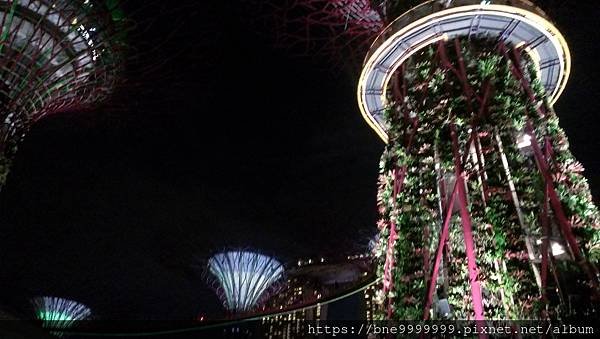 新加坡 │「濱海灣花園」夜晚城市中最美的超級樹叢