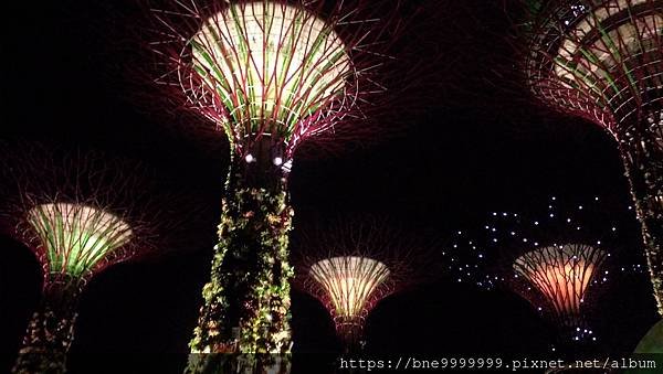 新加坡 │「濱海灣花園」夜晚城市中最美的超級樹叢