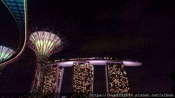 新加坡 │「濱海灣花園」夜晚城市中最美的超級樹叢