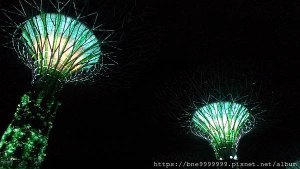 新加坡 │「濱海灣花園」夜晚城市中最美的超級樹叢