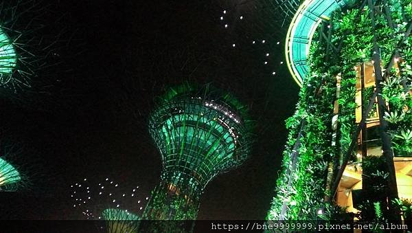 新加坡 │「濱海灣花園」夜晚城市中最美的超級樹叢