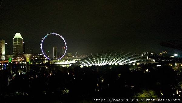 新加坡 │「濱海灣花園」夜晚城市中最美的超級樹叢