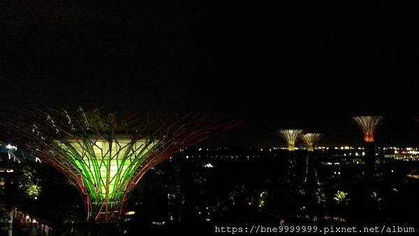 新加坡 │「濱海灣花園」夜晚城市中最美的超級樹叢