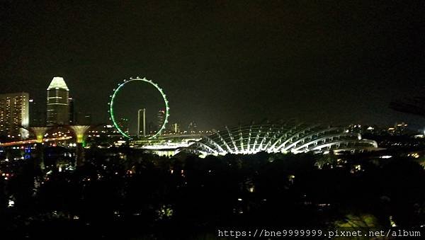 新加坡 │「濱海灣花園」夜晚城市中最美的超級樹叢