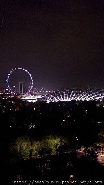 新加坡 │「濱海灣花園」夜晚城市中最美的超級樹叢