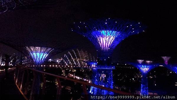 新加坡 │「濱海灣花園」夜晚城市中最美的超級樹叢