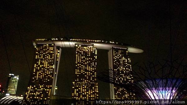 新加坡 │「濱海灣花園」夜晚城市中最美的超級樹叢