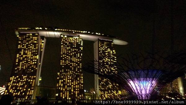 新加坡 │「濱海灣花園」夜晚城市中最美的超級樹叢