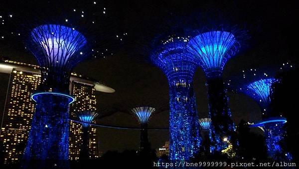 新加坡 │「濱海灣花園」夜晚城市中最美的超級樹叢