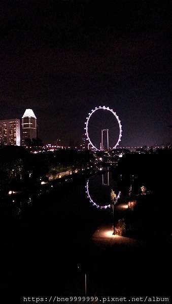 新加坡 │「濱海灣花園」夜晚城市中最美的超級樹叢