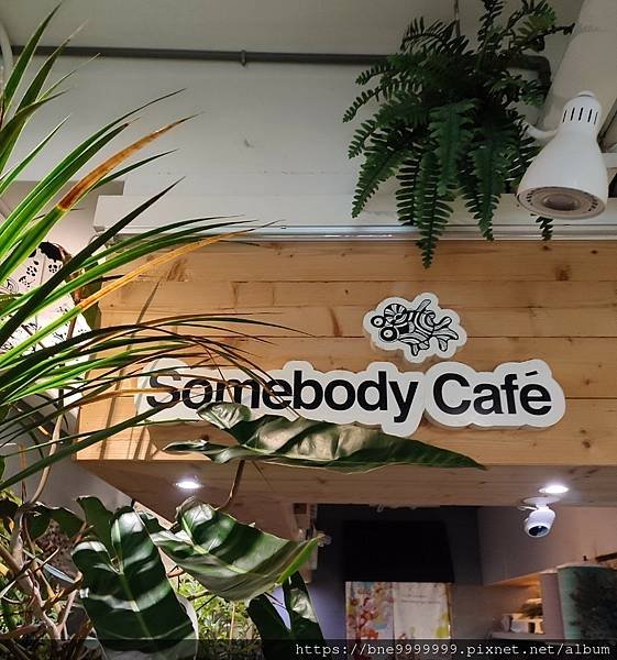 台北市 萬華區│「Somebody Cafe」植物插畫廊貳拾