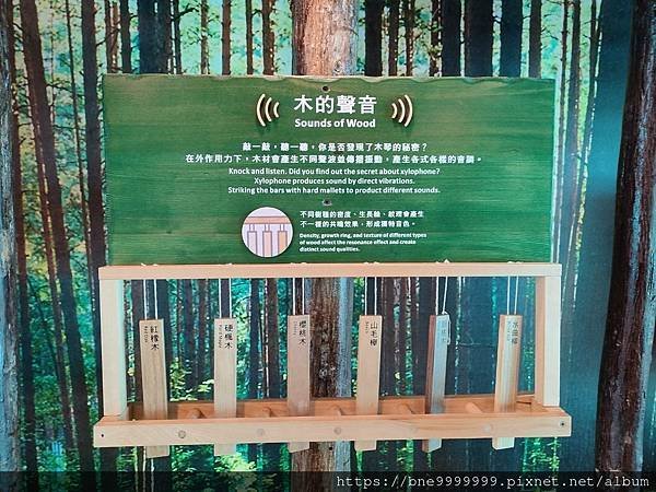 桃園機場第二航廈出入境區