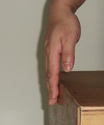 cajon-hand5.jpg