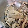 牛雜粥