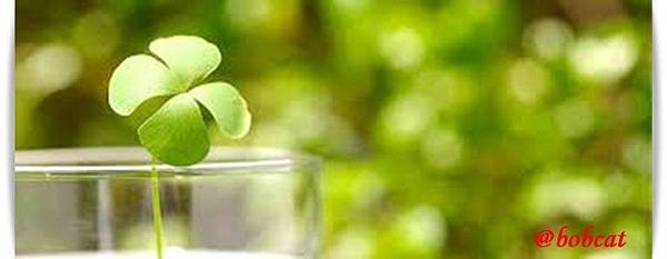 aa