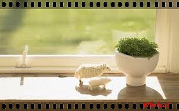 aa