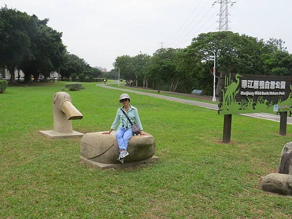 小旅行。華江雁鴨自然公園。賞鳥