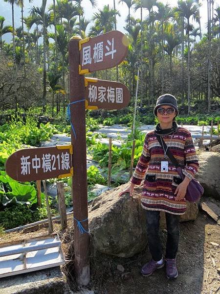 背包侶行。南投牛稠坑。柳家梅園