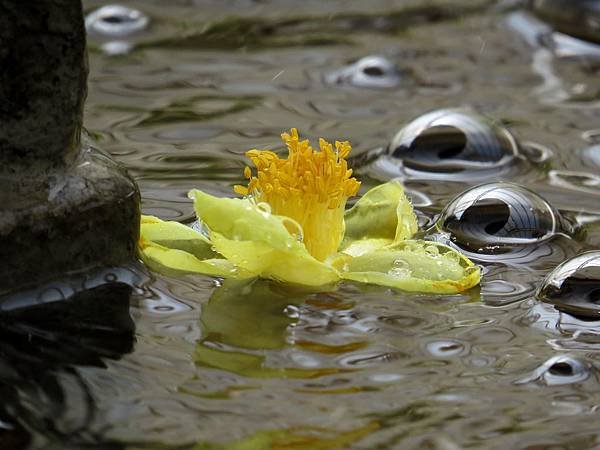 IMG_1836