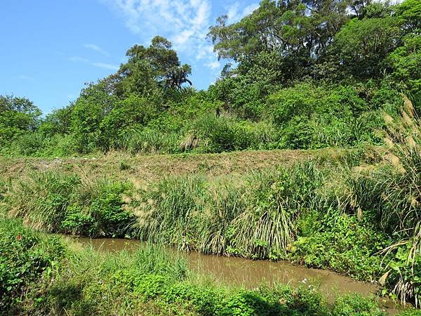 背包侶行。北投。十八份圳步道