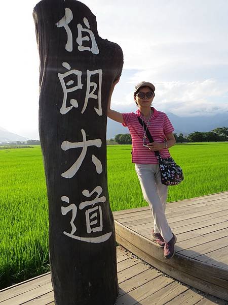 背包侶行。環島四日。台東池上。伯朗大道