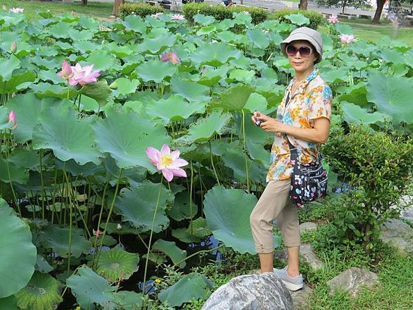 背包侶行。華山文創園區。生態池