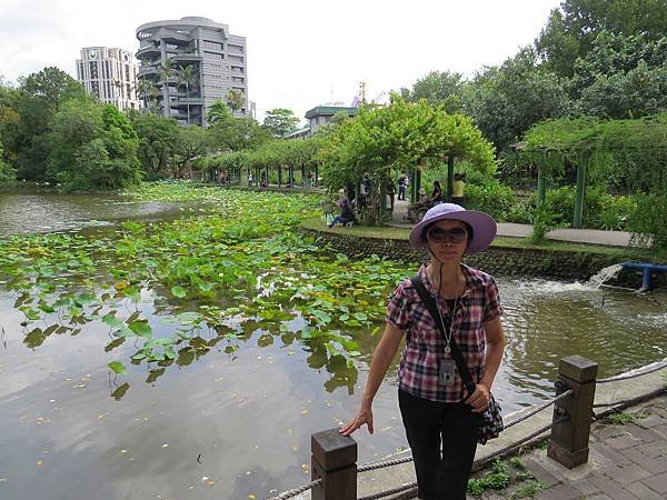 背包侶行。台北植物園。荷花池