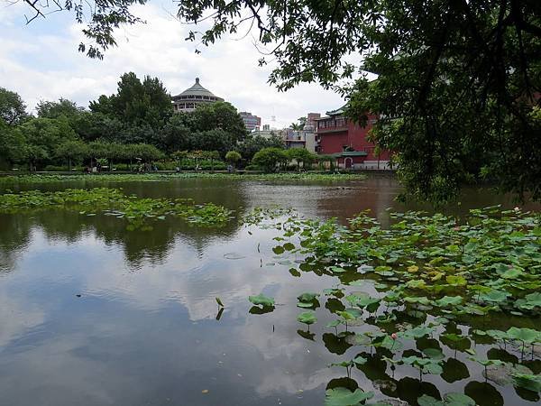 背包侶行。台北植物園。荷花池