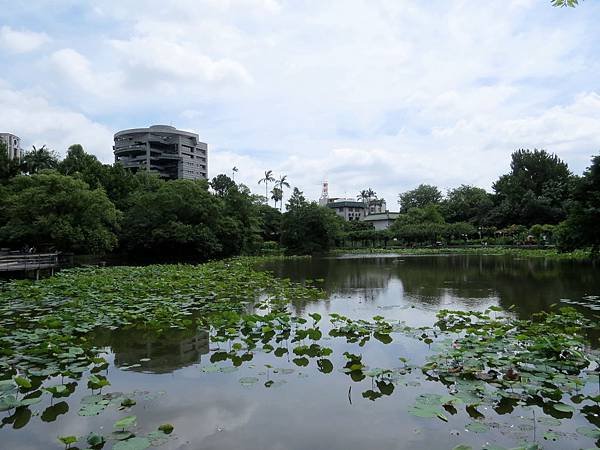 背包侶行。台北植物園。荷花池