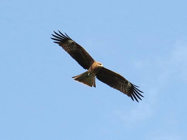 IMG_3404.jpg