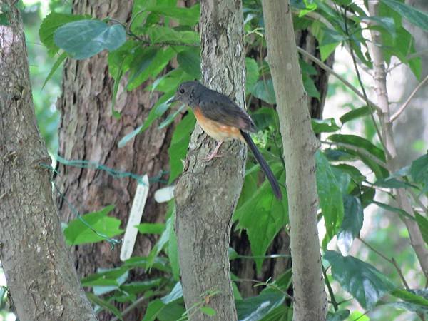 IMG_7918.jpg