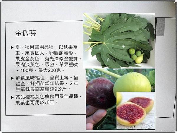 吳花國_36