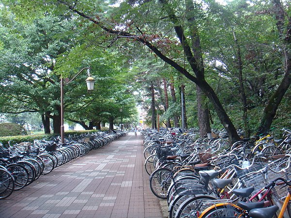 DSC09648.JPG
