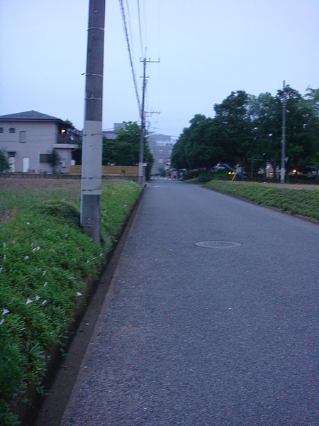 每天要的路