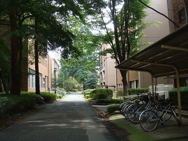 DSC09603.JPG