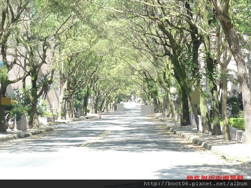 黎明清境 (1).JPG