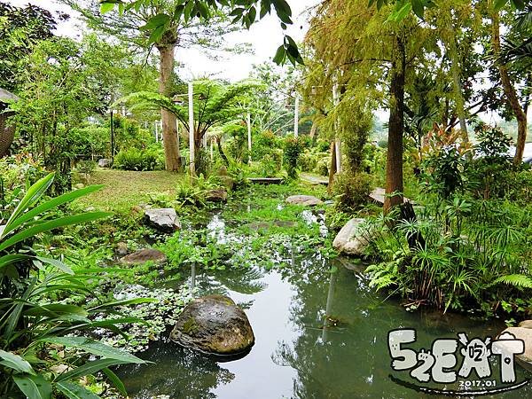 食記雨村生態農場8.jpg