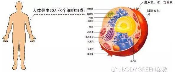 律動療法讓您輕鬆告別慢性疲勞