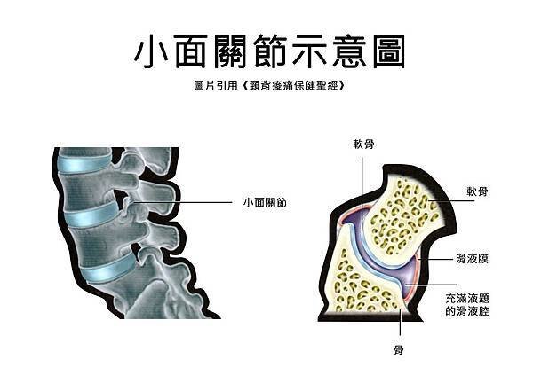小面關節.jpg
