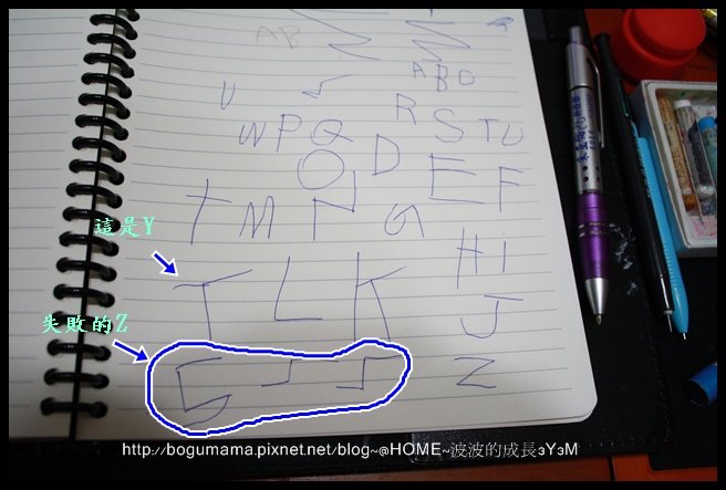 6.JPG