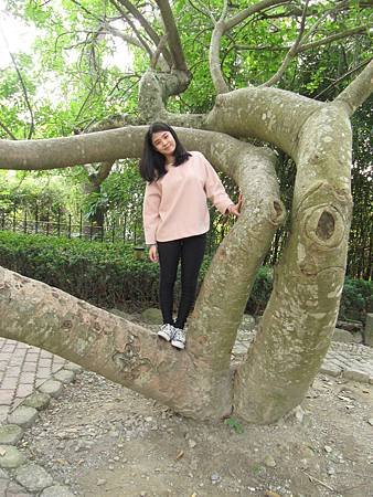 IMG_0019.JPG